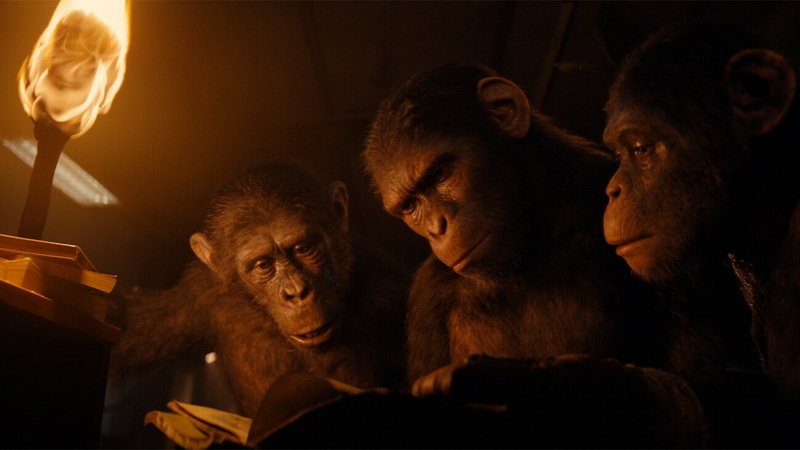 Image du film Kingdom of the Planet of the Apes