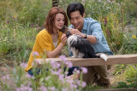 Une scène du film A Dog's Journey