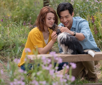 Une scène du film A Dog's Journey