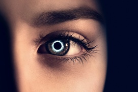 Affiche du film The Host