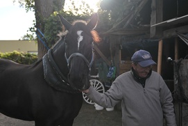 Une scène du film Le Horse Palace