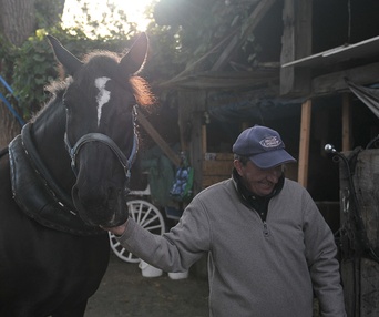 Une scène du film Le Horse Palace