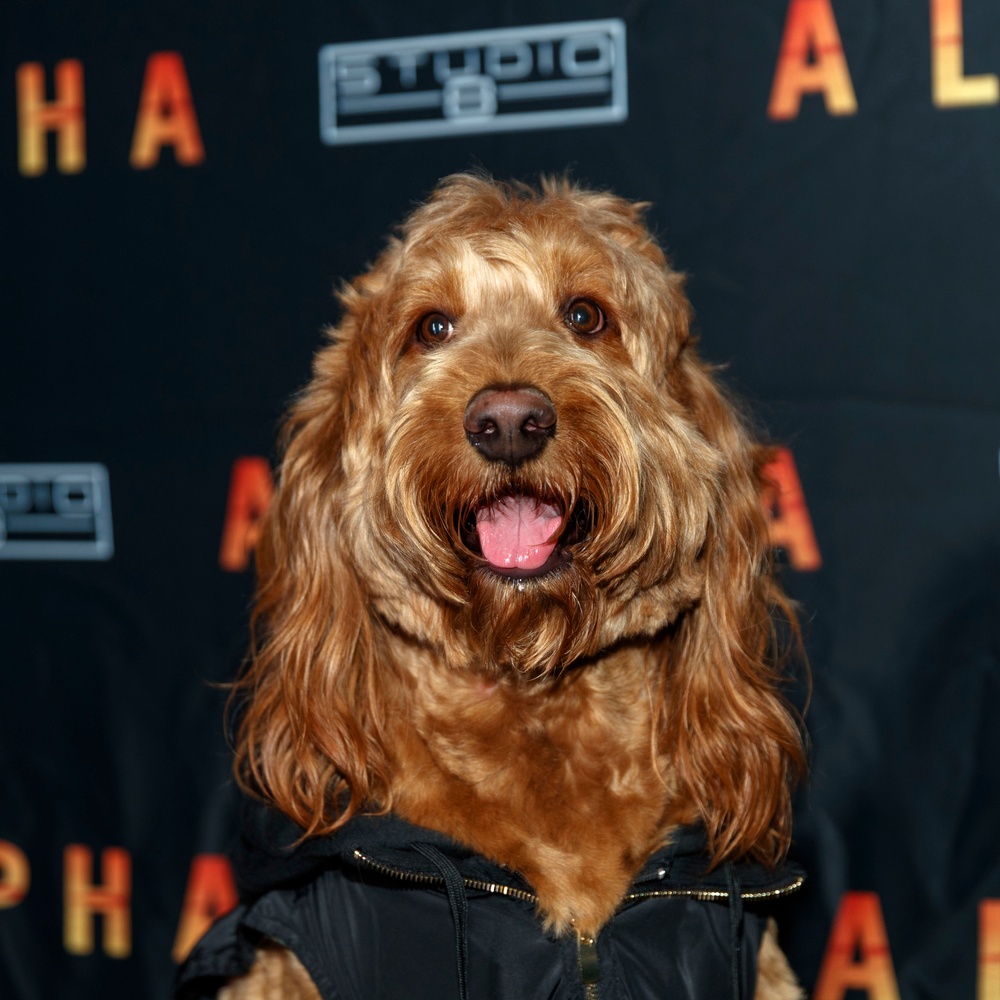 Première du film Alpha à Los Angeles
