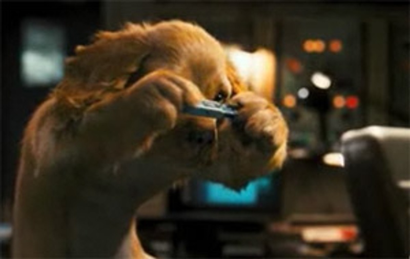 Une scène de Cats and Dogs: The Revenge of Kitty Galore