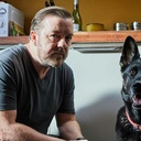 Photo de Ricky Gervais