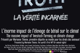 Affiche du film La verité incarnée
