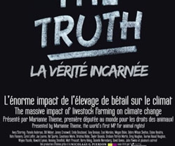 Affiche du film La verité incarnée