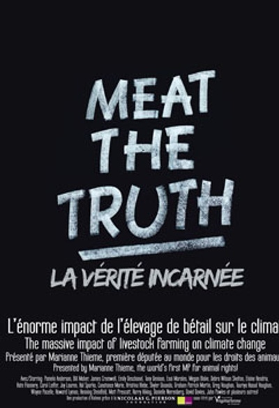 Affiche du film La verité incarnée