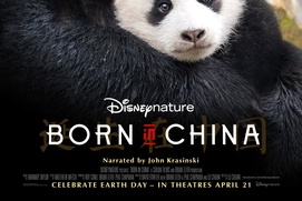 Affiche du film Born in China