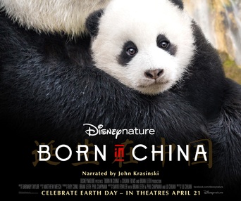 Affiche du film Born in China