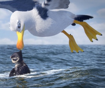 Une scène du film Manou the Swift