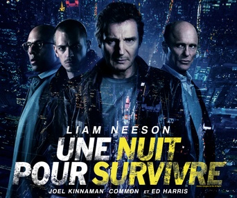 Affiche du film Une nuit pour survivre