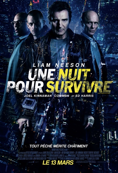 Affiche du film Une nuit pour survivre