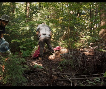 Images du film Forêts urbaines