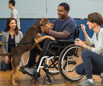 Une scène du film A Dog's Way Home