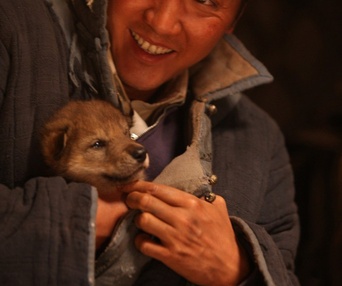 Une scène du film Wolf Totem