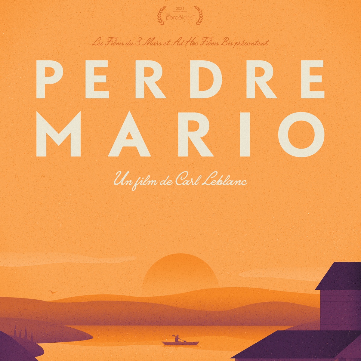 Affiche du film Perdre Mario