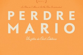 Affiche du film Perdre Mario