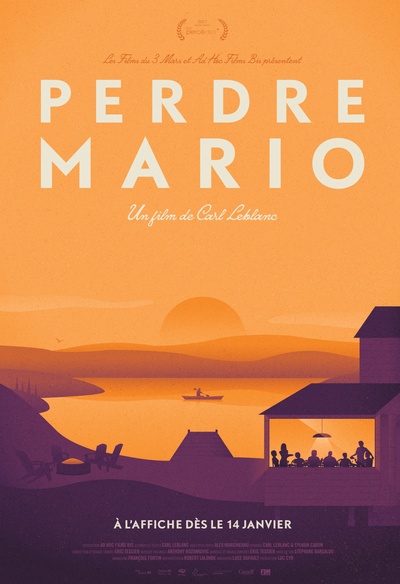 Affiche du film Perdre Mario