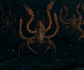 Une scène du film Fantastic Beasts: The Secrets of Dumbledore