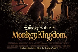 Affiche du film Monkey Kingdom Affiche du film Monkey Kingdom