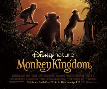 Affiche du film Monkey Kingdom