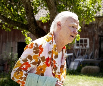 Une scène du film Le vieux qui ne voulait pas fêter son anniversaire