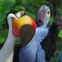 Une scène du film Rio