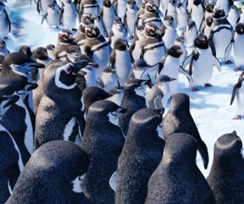 Une scène du film Happy Feet Two