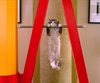 Une scène du film Nine Lives