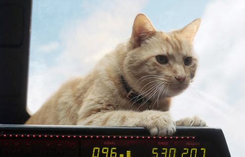Une scène du film Captain Marvel