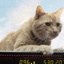 Une scène du film Captain Marvel