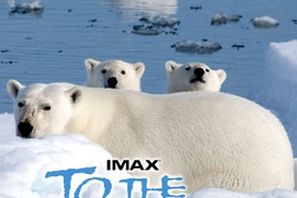 Affiche du film To the Arctic 3D