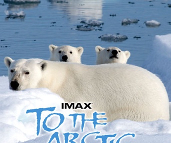Affiche du film To the Arctic 3D
