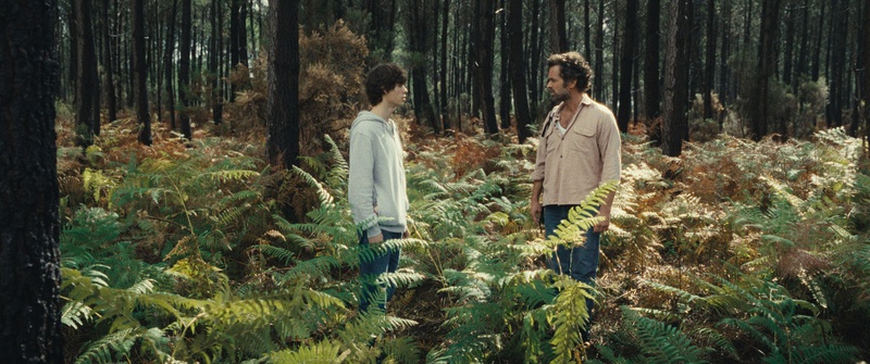 Image du film Le règne animal