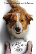 Affiche du film Mes voyages de chien