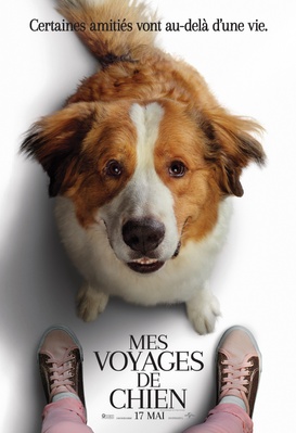 Mes voyages de chien