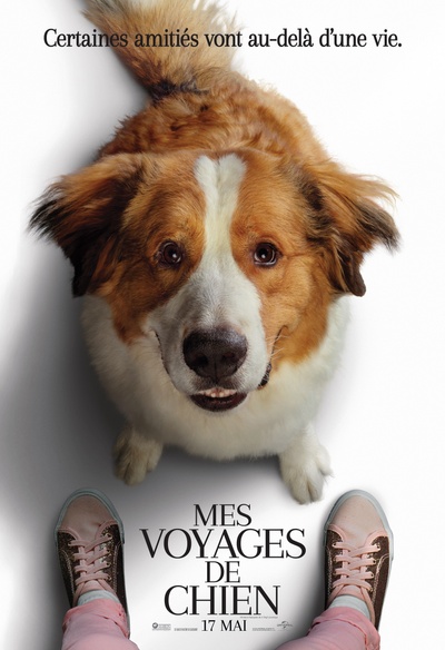 Affiche du film Mes voyages de chien