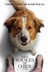 Affiche du film Mes voyages de chien
