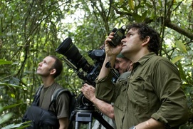 Une scène du film Chimpanzee