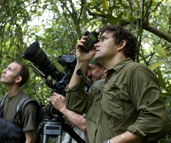 Une scène du film Chimpanzee