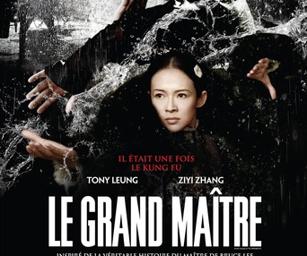 Affiche du film Le grand maître