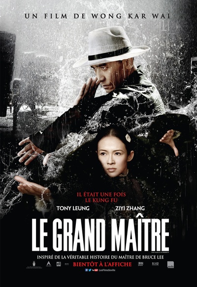Affiche du film Le grand maître