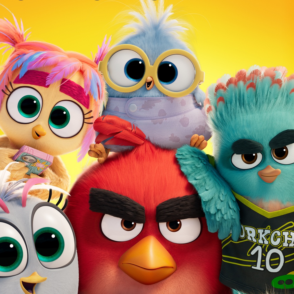 Image du film The Angry Birds 3