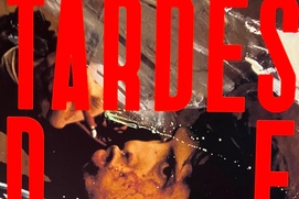 Affiche du film Tardes de soledad