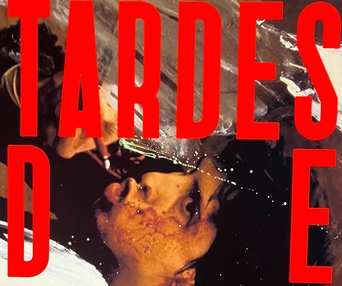 Affiche du film Tardes de soledad
