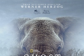 Image du film Ghost Elephants&nbsp;