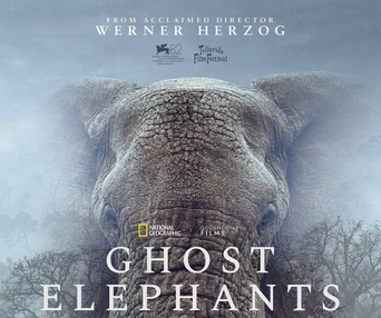 Image du film Ghost Elephants&nbsp;