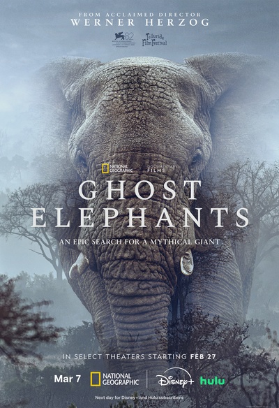 Ghost Elephants