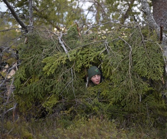 Image du film Le chant des forêts